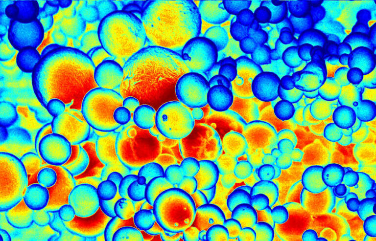 High-field T3 MRI, microbubbles, "The Beauty of Imaging"