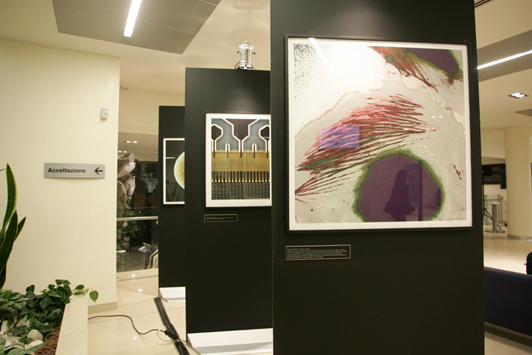 Alcune opere della mostra di Felice Frankel "L'incanto della scienza", allestita presto il Centro Diagnostico Italiano di via Saint Bon a Milano dall'8 novembre al 3 dicembre 2005